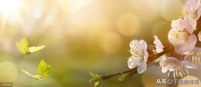 春天来了，赏春时先来读一读古人诗词中的“孟春、仲春、季春”