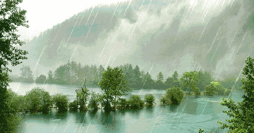 细赏八首落雨诗词：雨落成诗，哪一首淋湿了你的心？