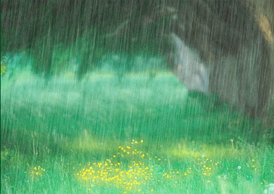 细赏八首落雨诗词：雨落成诗，哪一首淋湿了你的心？