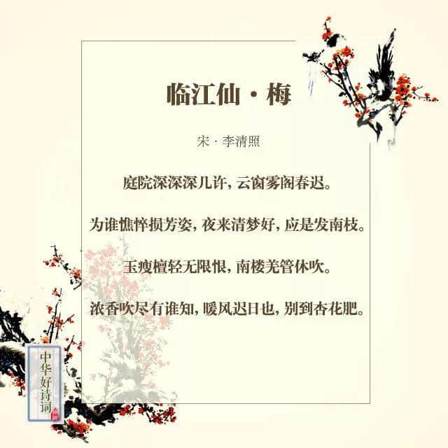 【分享阅读】那些与梅花有关的诗词~