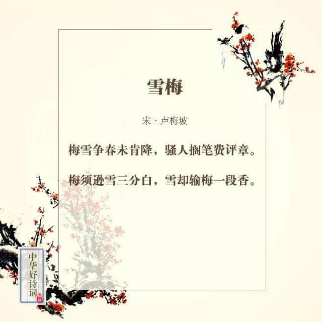 【分享阅读】那些与梅花有关的诗词~