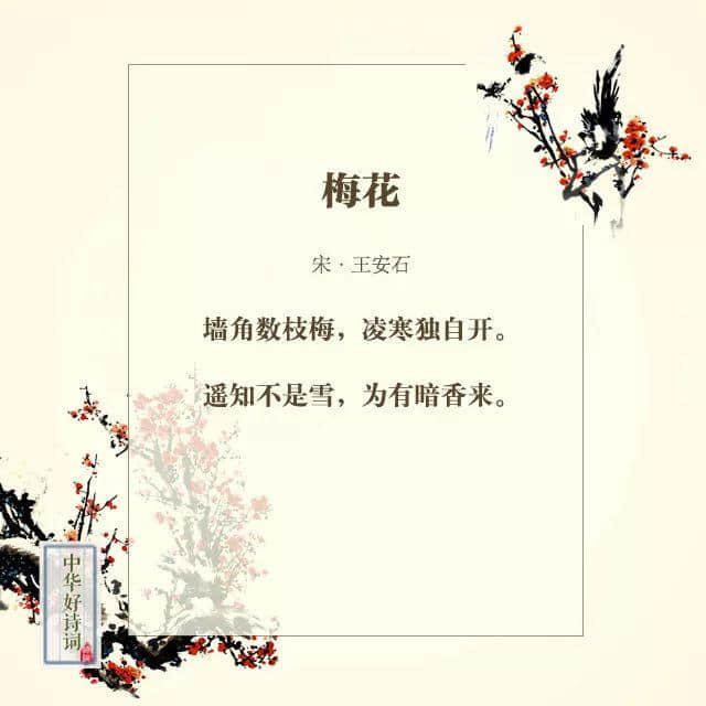 【分享阅读】那些与梅花有关的诗词~