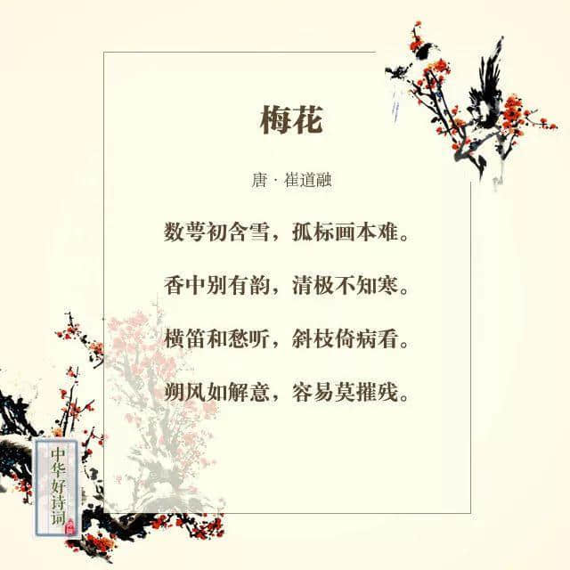 【分享阅读】那些与梅花有关的诗词~