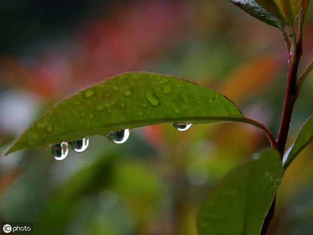 诗词中十二种雨，每一种都是一种心境，你更倾心于哪一场雨？