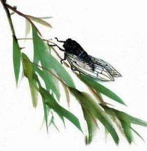 蝉在古代是品行高洁的象征，那么关于赞美蝉的诗词你知道多少？