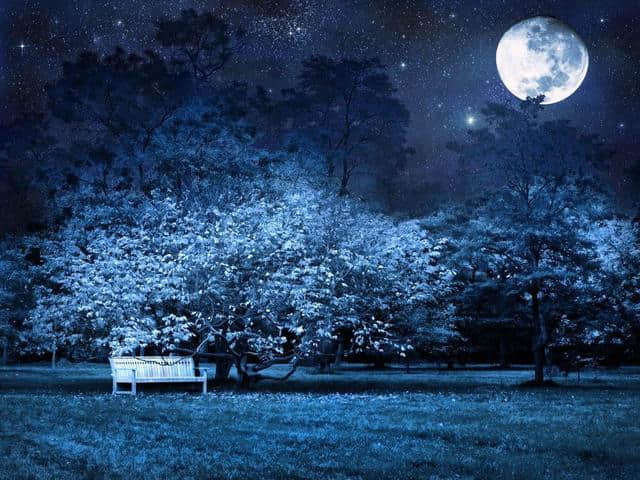 杜甫一首思念弟弟的唐诗，写有“露从今夜白，月是故乡明”