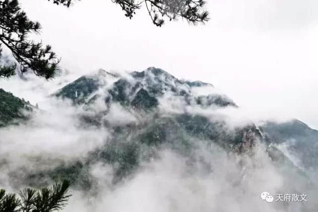 庐山云雾（美丽中国游）  ●金满安